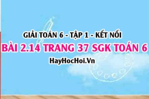 Giải bài 2.14 trang 37 Toán 6 Tập 1 SGK Kết nối tri thức